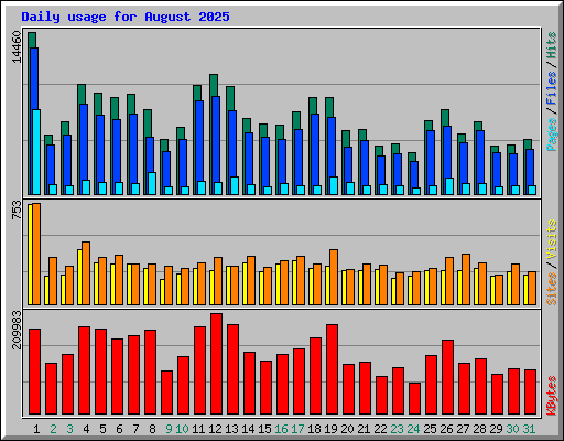 Daily usage for August 2025