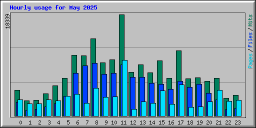 Hourly usage for May 2025