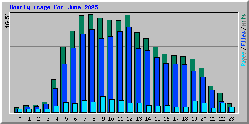 Hourly usage for June 2025