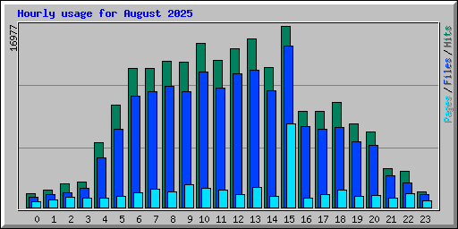Hourly usage for August 2025