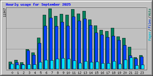 Hourly usage for September 2025