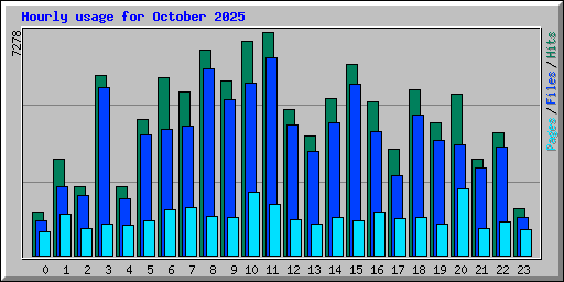 Hourly usage for October 2025