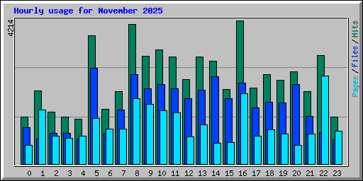 Hourly usage for November 2025