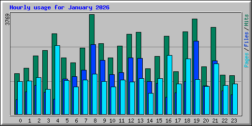 Hourly usage for January 2026