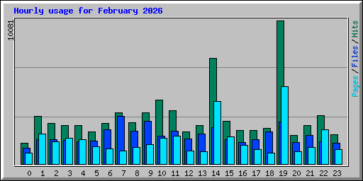 Hourly usage for February 2026